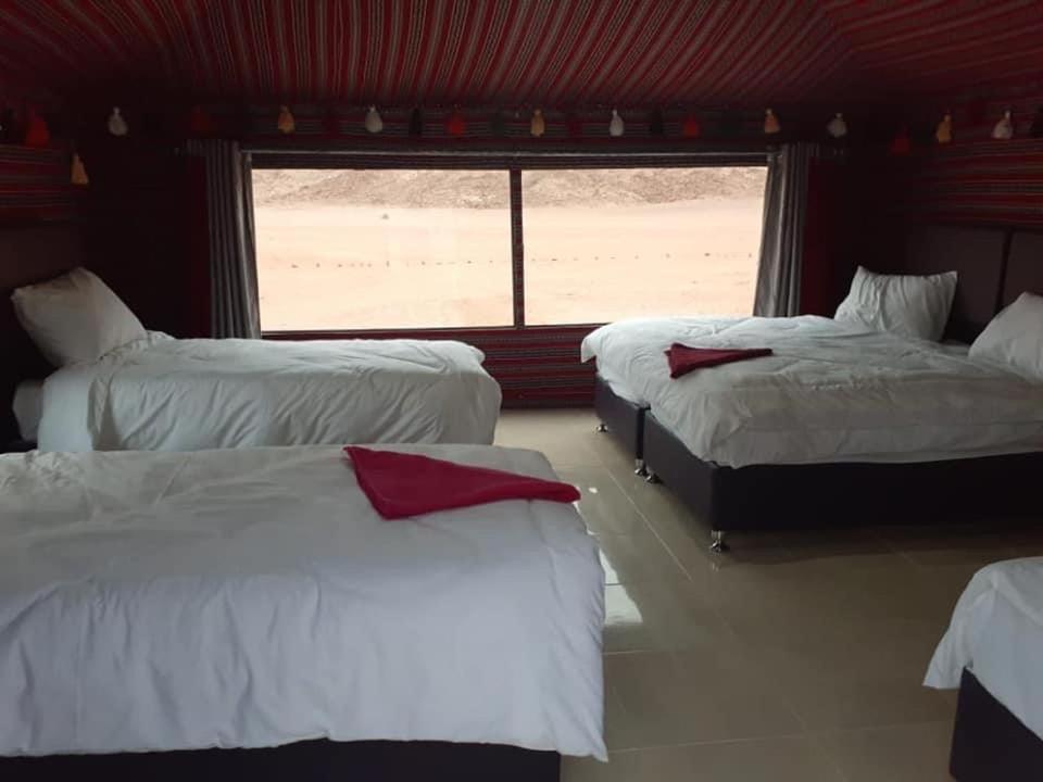 Black Irish Camp And Tours Wadi Rum Bagian luar foto