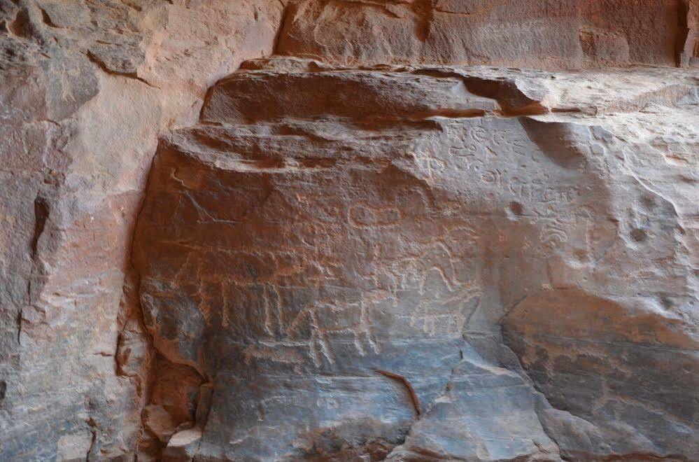 Black Irish Camp And Tours Wadi Rum Bagian luar foto
